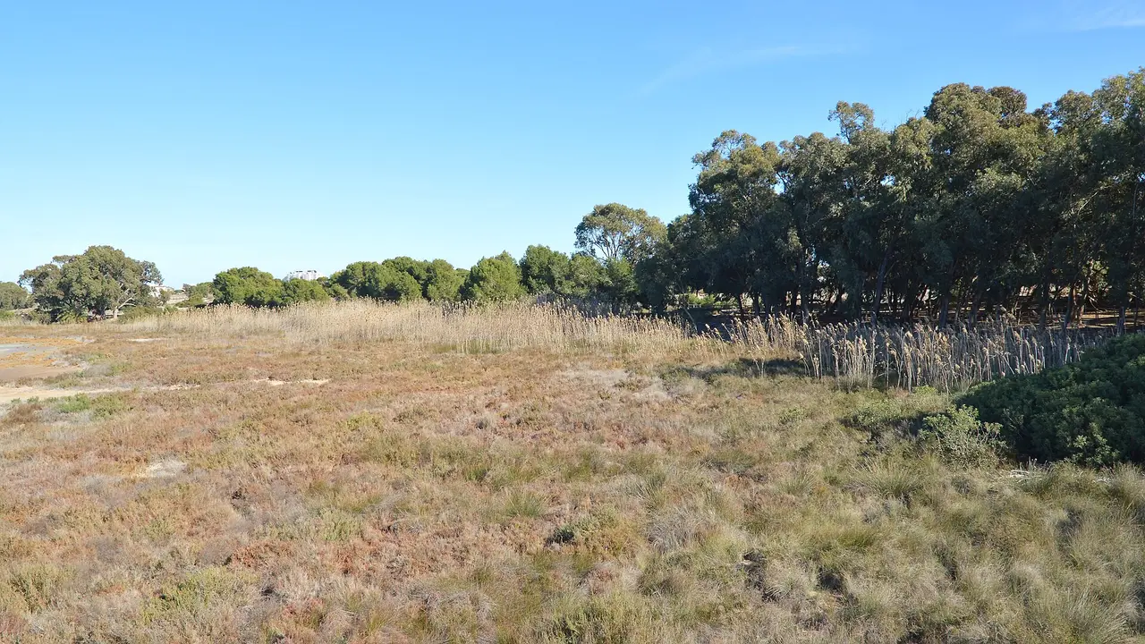 Lagune von La Mata
